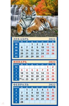 Zakazat.ru: Календарь квартальный на магните на 2022 год Год тигра. Отдых у воды (34216).