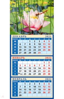 Zakazat.ru: Календарь квартальный на магните на 2022 год Стрекоза на водяной лилии (34220).