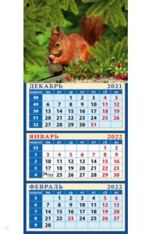 Zakazat.ru: Календарь 2022 Белка с орехом (34224).