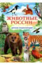 Животные России. Детская энциклопедия птицы россии детская энциклопедия