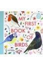 Ingram Zoe My First Book of Birds unwin mike whittley sarah my first book of garden birds