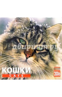 Календарь: Кошки 2006 год.