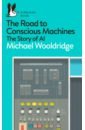 Wooldridge Michael The Road to Conscious Machines. The Story of AI dream machines mouse dm1 pro s2 ghz mb gb ext