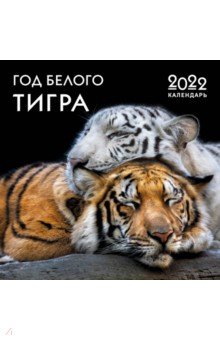 Год белого тигра. Календарь настенный на 2022 год (300х300 мм).