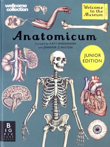 Anatomicum Junior