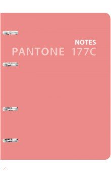 Тетрадь на кольцах (120 листов, А5, клетка), Pantone line 6 (ПБЛ1205008).
