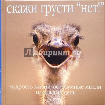 Скажи грусти "нет!". Мудрость жизни: остроумные мысли на каждый день