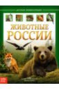 Соколова Ю. Детская энциклопедия Животные России