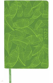 Ежедневник датированный 2022 Foliage, зеленый, 168 листов, А5.