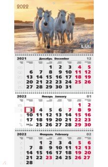 Zakazat.ru: Календарь на 2022 год Дикие животные 4, трехблочный.