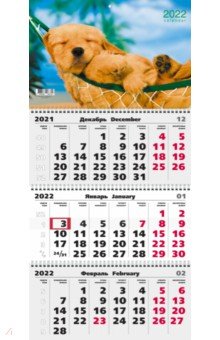 Zakazat.ru: Календарь на 2022 год Домашние любимцы 5, трехблочный.