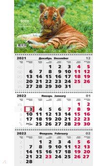 Zakazat.ru: Календарь на 2022 год Символ года 2, трехблочный.