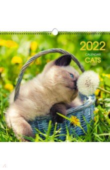 Zakazat.ru: Календарь на 2022 год Домашние любимцы 4, квадратный, средний.