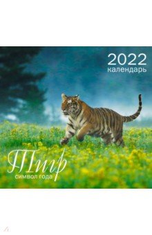 Календарь настенный на 2022 год Символ года 5, Тигр.