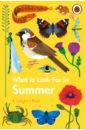 Jenner Elizabeth What to Look For in Summer matthews c sunny days and sea breezes