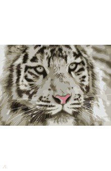 Холст с красками для рисования по номерам Белый тигр.