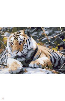 Холст с красками для рисования по номерам Тигр на камне
