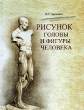 Рисунок головы и фигуры человека. Учебное пособие