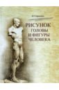 Гордеенко Владимир Титович Рисунок головы и фигуры человека. Учебное пособие паранюшкин рудольф васильевич трофимова елена николаевна рисунок фигуры человека учебное пособие для спо