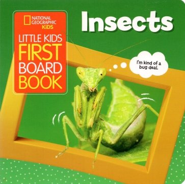 Little Kids First Board Book Insects