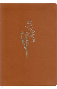 Ежедневник недатированный Sprig, А5, 160 листов, бежевый