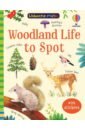 Nolan Kate Woodland Life to Spot brown jenny bugs to spot