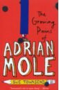 Townsend Sue The Growing Pains of Adrian Mole таунсенд сью the secret diary of adrian mole aged 13 3 4