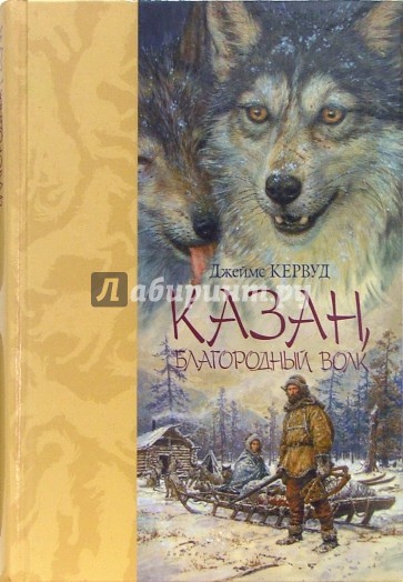 Казан, благородный волк