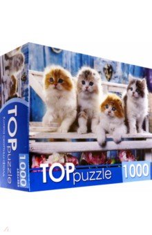 Puzzle-1000. Котята скоттиш фолд