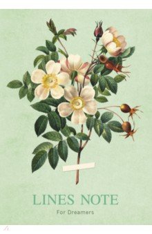 Тетрадь Flower 2, А6+, 64 листа, линия Joy Book - фото 1