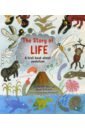 Barr Catherine, Williams Steve The Story of Life. A First Book about Evolution bestard aina how life on earth began fossils dinosaurs the first humans