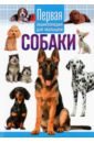 Обложка Собаки. Первая энциклопедия для малышей