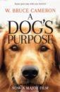 cameron b a dog’s purpose Cameron W. Bruce A Dog's Purpose