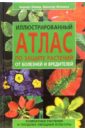 Бемер Берндт, Вальтер Воханка Иллюстрованный атлас по защите растений от болезней и вредителей атлас комнатных растений