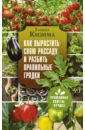 цена Кизима Галина Александровна Как вырастить свою рассаду и разбить правильные грядки