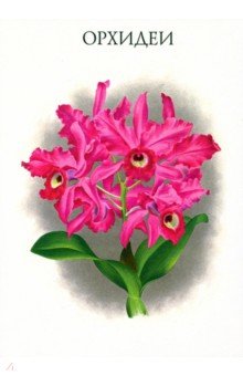 Набор открыток. Орхидеи. Выпуск 1 Белый город