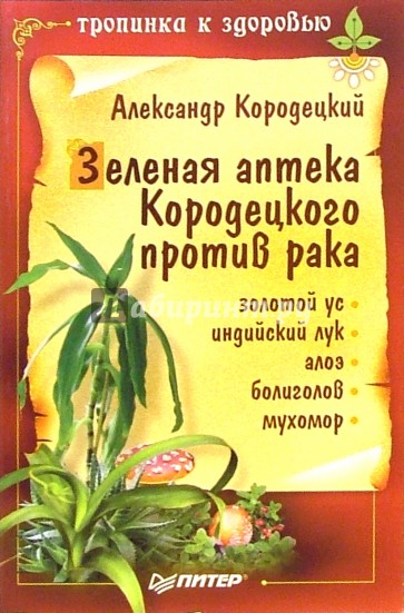 Зеленая аптека Кородецкого против рака: золотой ус, индийский лук, алоэ, болиголов, мухомор