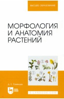 Румянцев Денис Евгеньевич - Морфология и анатомия растений. Учебное пособие