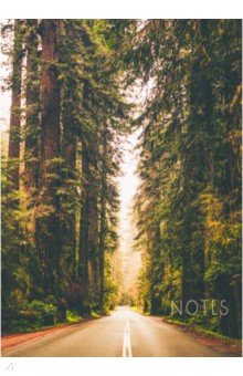 Книга для записей Дорога в лесу, 100 листов, клетка, А4