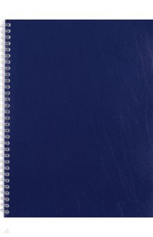 Тетрадь Синий, А4, 96 листов, клетка