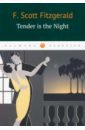 цена Fitzgerald Francis Scott Tender Is the Night