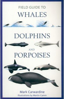 Carwardine Mark - Field Guide to Whales, Dolphins and Porpoises