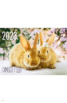 

Календарь настенный на 2023 год, перекидной. Кролик