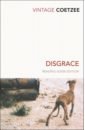 Coetzee J.M. Disgrace. Reading Guide Edition