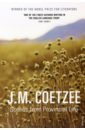 Coetzee J.M. Scenes from Provincial Life oz amos scenes from village life