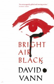 Vann David - Bright Air Black