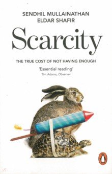 

Scarcity. The True Cost of Not Having Enough