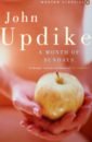 Updike John A Month of Sundays digital photography month by month