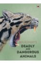 Rothery Ben Ben Rothery's Deadly and Dangerous Animals our world readers 6 odon and the tiny creatures