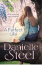 Steel Danielle A Perfect Life aimee molloy the perfect mother